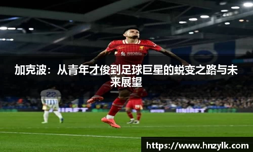MK体育在线官网